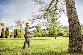 Best Tree Trimming and Pruning  in Fairview, OK