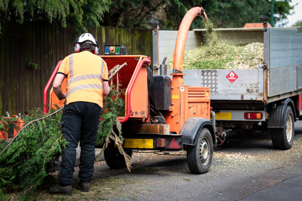 Lawn Drainage Solutions in Fairview, OK